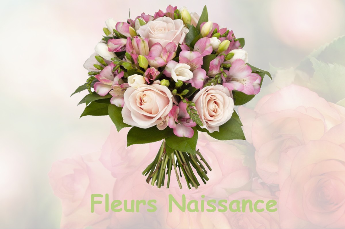 fleurs naissance GOURNAY-LE-GUERIN
